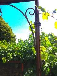 pergola02 - Création Ferronnerie Fenton